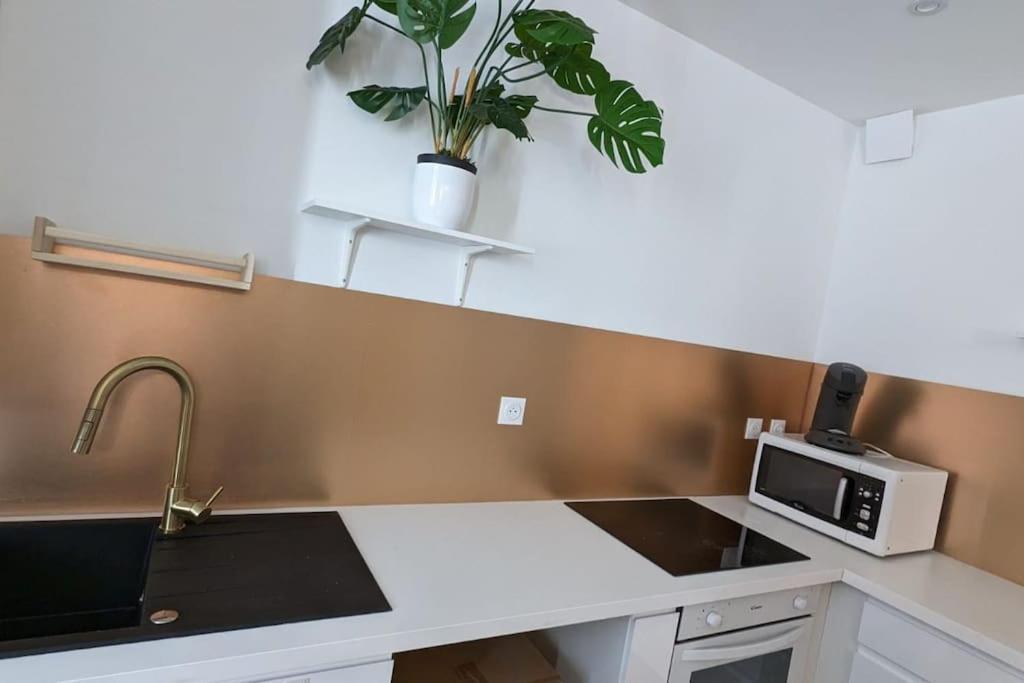 Cosy Queen -3Ch- Centre Ville & Parking Privee - Wifi Haut Debit Pau Exterior photo